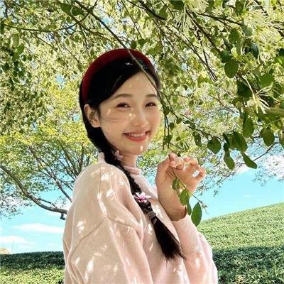 奇思妙探第二季